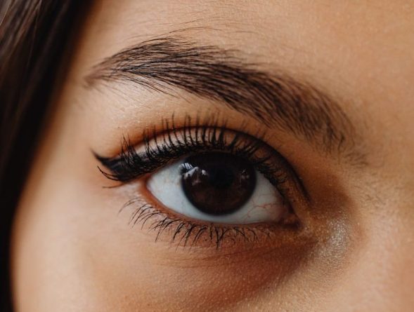 brows & lashes